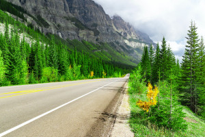 情感连接，FIFA电竞主播的魅力有多大